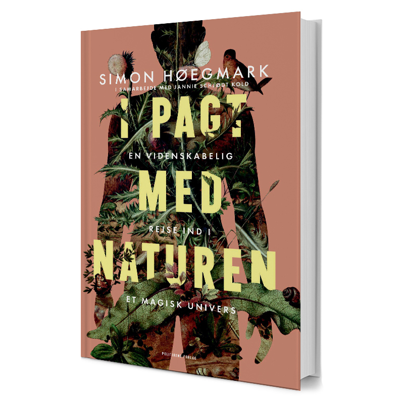 Åndedrætsguide til velvære – Forbind med naturens kræfter