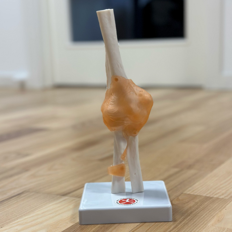 Albueled med fleksible ligamenter – Fantastisk tilbud!