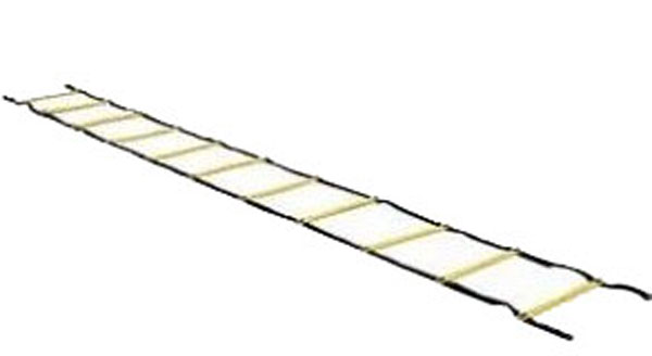 Aserve Agility Stige 4 M - Perfekt til sjov træning!