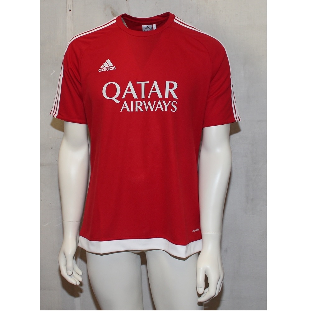 Estro teamsport trøje - Qatar Airways på tilbud!