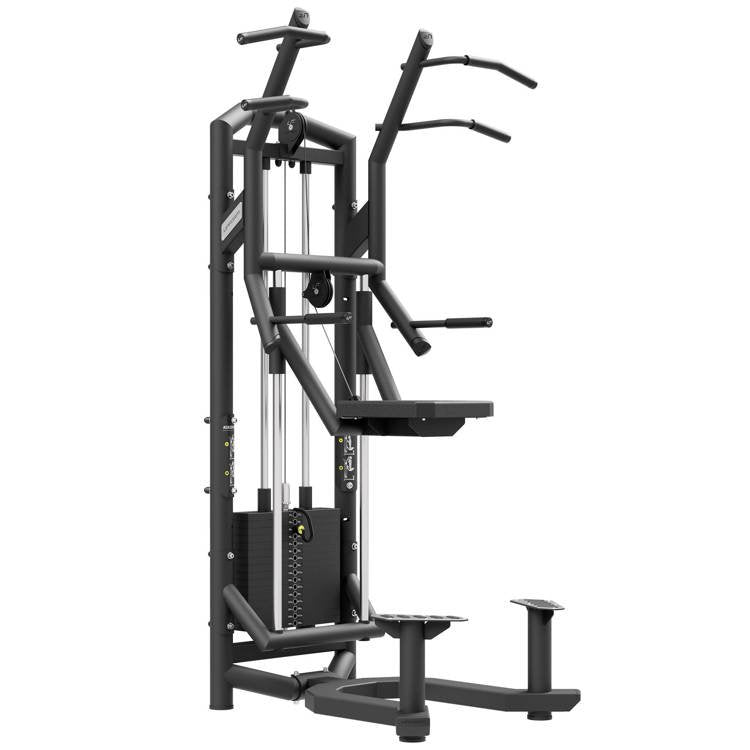 Pullup- og Dipstation fra UpForm - Gratis fragt!