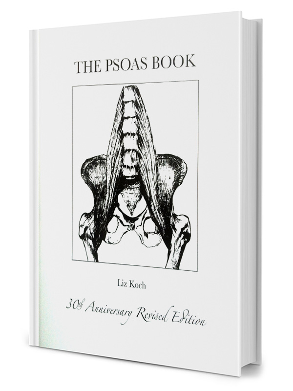 Psoas Bogen: Udsalg på Guide til Ryg- og Kropsterapi!