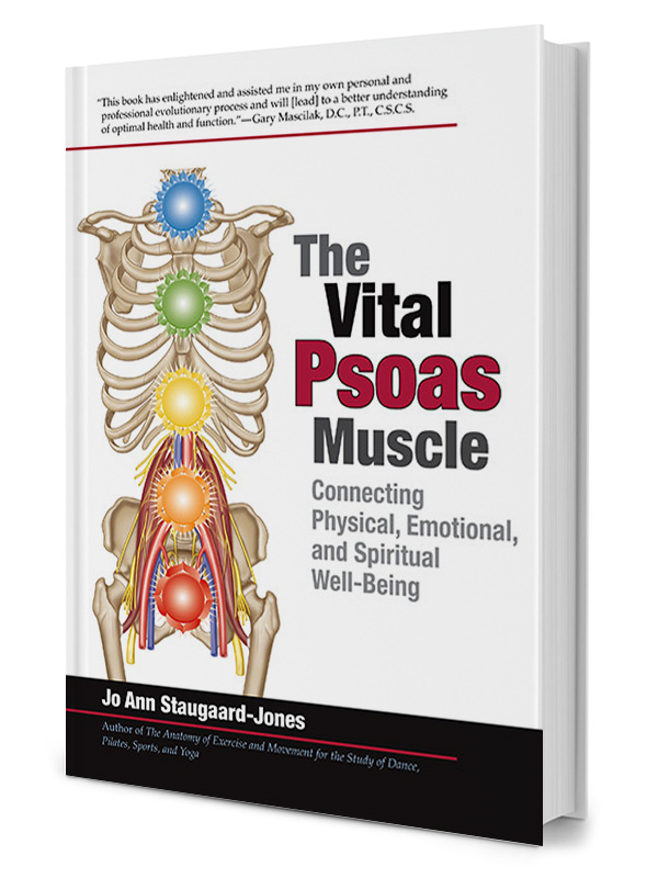 Vital Psoas Muskel: Nøglen til Bedre Velvære og Holdning