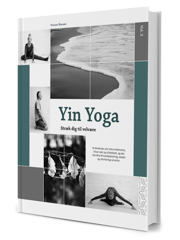 Yin Yoga – Stræk dig til velvære Vol. 2 på fantastisk tilbud!