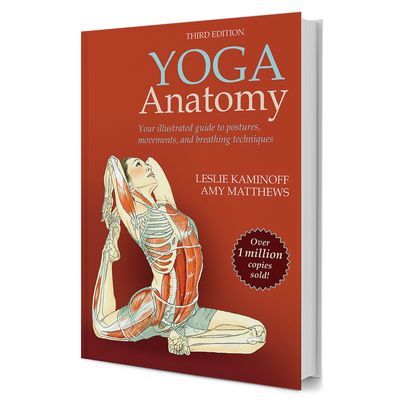 Opdateret Yoga Anatomibog – Din essentielle yogaguide!